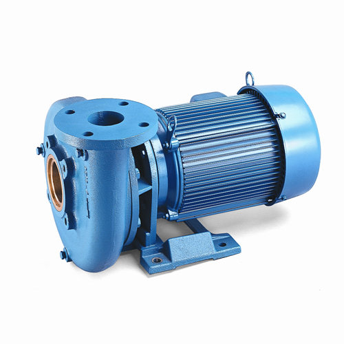 20211207025843131397231